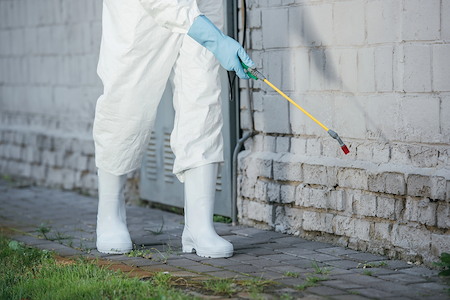 How to Pest-Proof Your Home for Summer in California